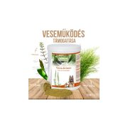 PERNATURAM - vese gyógynövénykeverék - 250 g