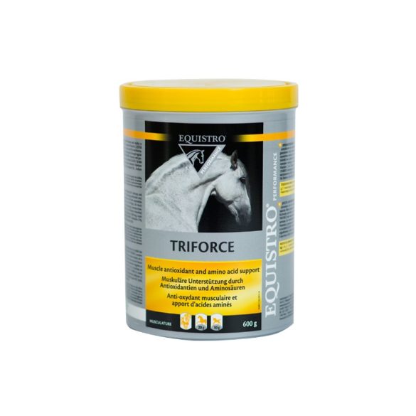 EQUISTRO - Triforce - 600g