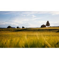 Agro-Largo - Greenland fűmagkeverék - 25Kg