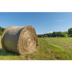 Agro-Largo - Gigant fűmagkeverék - 25Kg